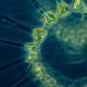 NEW REPORT FORECASTS MAJOR IMPACTS ON THE MARINE FOOD WEB