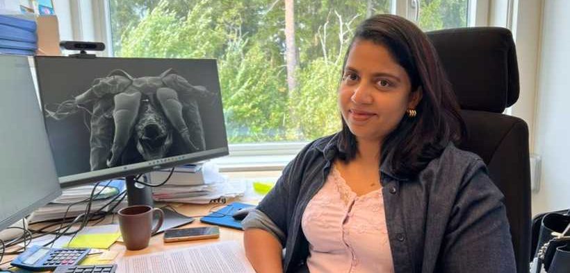 NEW STRUCTURE DISCOVERED IN SALMON LICE(1)