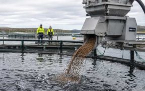 PROTECTING FARMED FISH