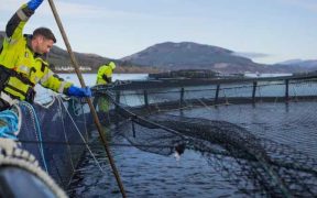 SALMON FARMING IS A ‘KEY ANCHOR’(1)