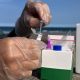15-minute disease test could transform aquaculture health screening