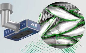 A-HARVESTCAM® BRINGS REAL-TIME AI INTELLIGENCE