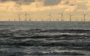 EUROPEAN PARLIAMENT TAKES A NEW STEP ON MIRACANARIAS' OFFSHORE WIND COMPLAINT