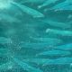 FISH FEED FOR AQUACULTURE MARKET